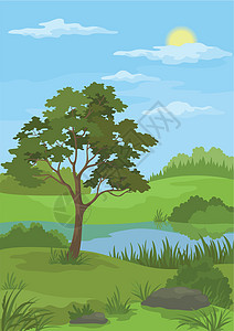 景观 松树和湖泊环境树干池塘草地叶子植物群灌木蓝色绘画云杉图片