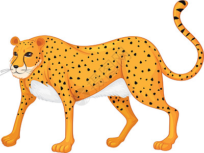 豹绘画荒野猎豹哺乳动物动物情调斑点草图黑色猫科图片
