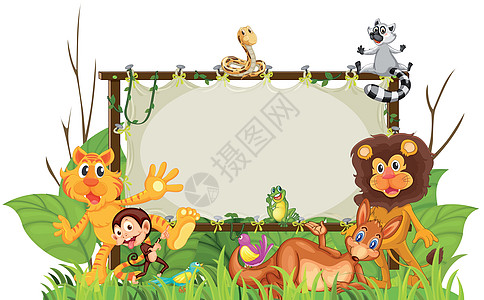 各种动物植物野生动物动物园青蛙狮子森林爬虫老虎海报丛林图片