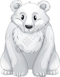 北极熊白色动物草图绘画物种荒野食肉哺乳动物图片