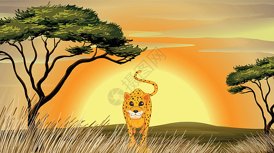 豹天空大草原动物绘画树叶草原卡通片场景荒野斑点图片