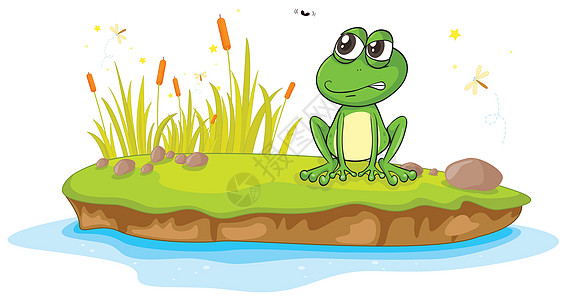 马来西亚岛一只青蛙和一只水荒野植物群池塘两栖动物群动物蜻蜓生物野生动物绘画设计图片