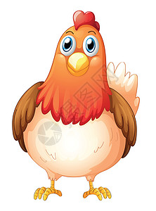 一只大胖母鸡小腿羽毛母亲翅膀发泄眼睛鸟类小鸡脚趾农场图片