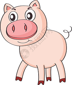 a 猪婴儿动物哺乳动物农场粉色家畜野生动物荒野白色农业图片