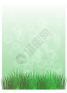绿色草的文具图片