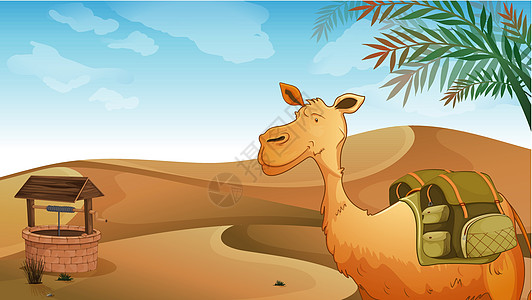 沙漠的骆驼和水井图片