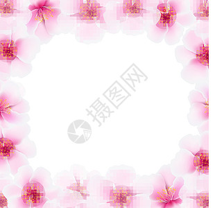 带模糊的樱花花框架图片
