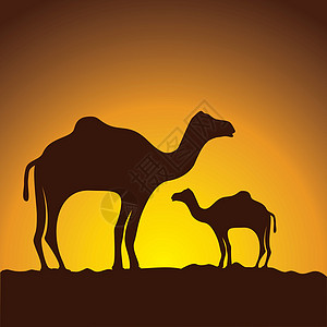 骆驼大篷车 矢量图像设计图片