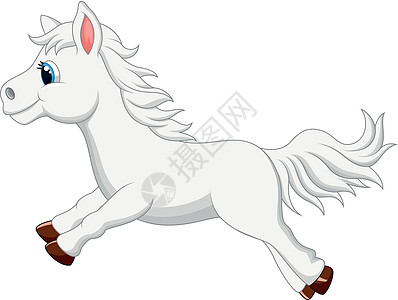 白色的马跑着可爱的白马设计图片