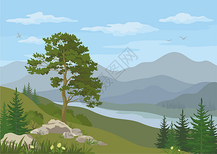 带树木的山地景观翅膀山脉气候公园树干生长蓝色生态石头天空图片