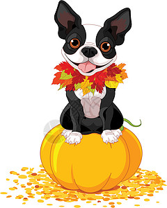 波士顿 Terrier艺术品卡通片邮政动物收成条纹标识夹子绘画邀请函图片