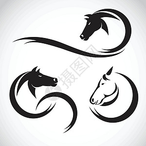 白色背景的马匹设计的矢量图像叛乱赛马十二生肖动物卡通片荒野插图跑步自由自豪图片