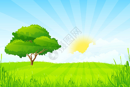 带树的绿色景观太阳晴天环境叶子阳光草本植物园艺天气季节牧场图片