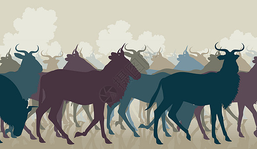 野生动物群猎物移民食草羚羊牛角野生动物动物牛羚团体插图图片