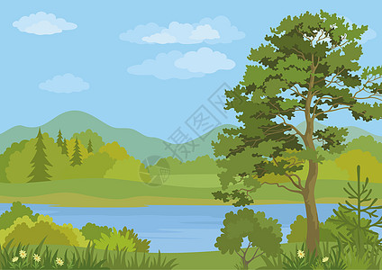 树林和山湖景观松树环境木头灌木树干季节天空气候针叶生态图片