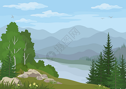 树林和山湖景观桦木天气气候生态季节松树叶子环境山脉岩石图片