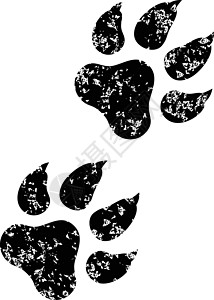 动物爪印猎犬插图脚趾野生动物宠物黑色小狗野外动物哺乳动物模仿图片