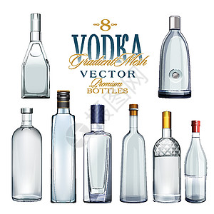 各种类型的伏特加酒瓶 它制作图案矢量标准空白优雅白色酒精商品味道瓶子用餐饮料图片