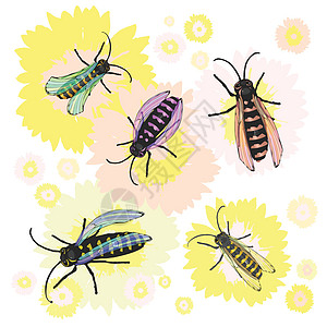 彩色和条纹蜜蜂从花朵中采集花粉图片