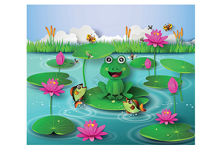 池塘里的青蛙热带生物荒野两栖叶子动物野生动物脊椎动物图片