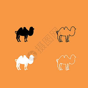 黑白骆驼图标图片