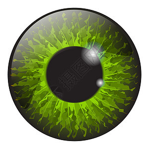 白色 b 上孤立的绿色虹膜眼逼真矢量集设计眼睛镜片插图棕色光学鸢尾花灰色艺术反射球体图片
