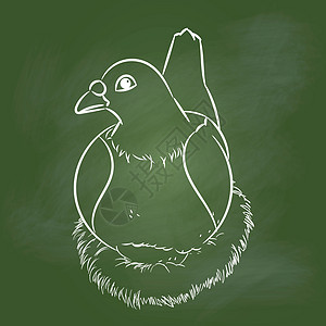 手绘鸽子在绿板上-它制作图案矢量图片