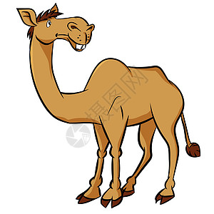 卡通骆驼-矢量剪贴画它制作图案图片