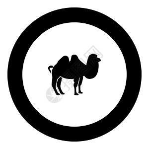 它制作图案圆圈矢量中的骆驼黑色图标图片