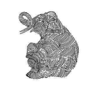 大象秀 维特图片