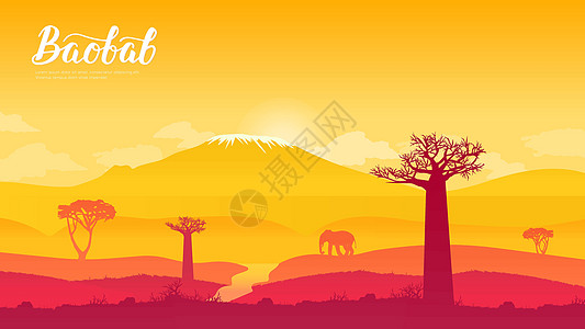 纳米比亚的babobab树 非洲土地页墙纸设计概念图片