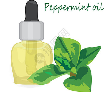 聚斑基本油量矢量说明 阿洛玛治疗药店香料芳香产品药品植物绘画草本植物瓶子收藏图片