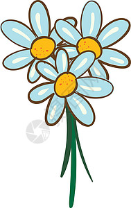 一束雏菊的白色背景上的矢量插图图片