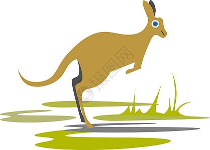 澳洲袋鼠白色背景的野生说明矢量中的袋鼠设计图片