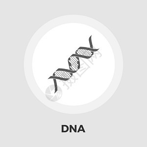 DNA 平面 ico插图生物技术微生物学遗传螺旋染色体保健细胞测试图片