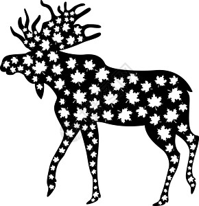 公牛驼鹿 平面矢量图 简单的剪影枫叶 加拿大国庆日 孤立在白色图片