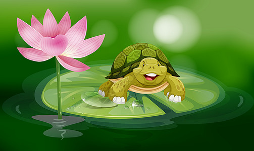在池塘露露叶上漂浮的乌龟热带花瓣荷花花园叶子植物群青蛙野生动物公园插图图片