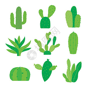 PotCartoon 矢量中的仙人掌和植物集肉质叶子花盆植物沙漠绿色涂鸦卡通片植物学花园背景图片
