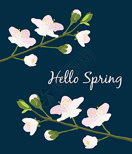 樱花 香草枝和粉红色花朵 还有白色的刻画品 哈罗·斯普林在深蓝色背景上 欢迎卡片矢量 EPS10 春季设计模板图片