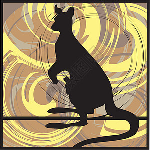 袋鼠制作图案矢量图保护动物场景地面动物群尾巴领土哺乳动物生物跳跃图片