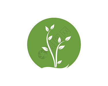 甘肃贝母植物图标标志矢量图设计生长园艺花盆白色叶子抄本植物群盆栽插图花园设计图片