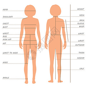 身体测量尺码对照表图片