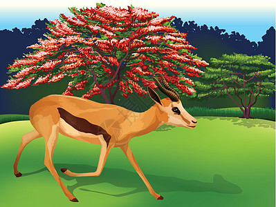 迪伊麋鹿苔原哺乳鹿角食草热带雨林骡鹿科学动物驼鹿图片