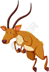 羚星体动物棕色濒危白色生物情调卡通片喇叭异国羚羊图片
