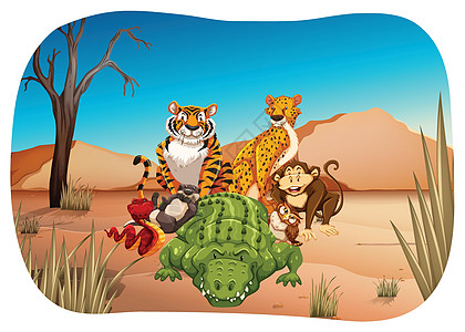 动物沙漠绘画野生动物老虎荒野墙纸哺乳动物卡通片鳄鱼生物图片