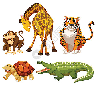 动物绘画动物园野生动物卡通片荒野墙纸丛林森林鳄鱼哺乳动物图片