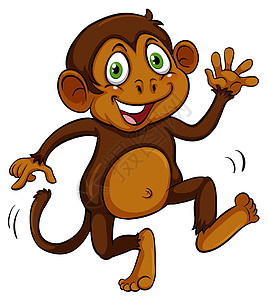 顽皮的棕色猴子人猿灵长类森林山魈侏儒桔梗动物哺乳绘画鼻子图片