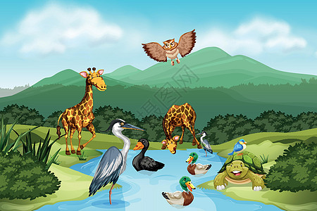 野生天鹅自然界中的许多动物夹子天鹅荒野猫头鹰艺术绘画鸭子插图卡通片野生动物设计图片