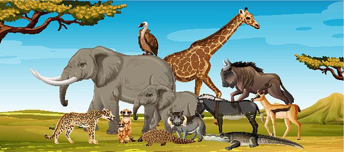森林场景中的一群野生非洲动物动物园食肉生物丛林环境卡通片大草原公园生活植物图片