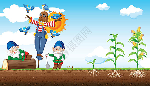 侏儒和稻草人卡通风格与玉米农场和天空背景图片